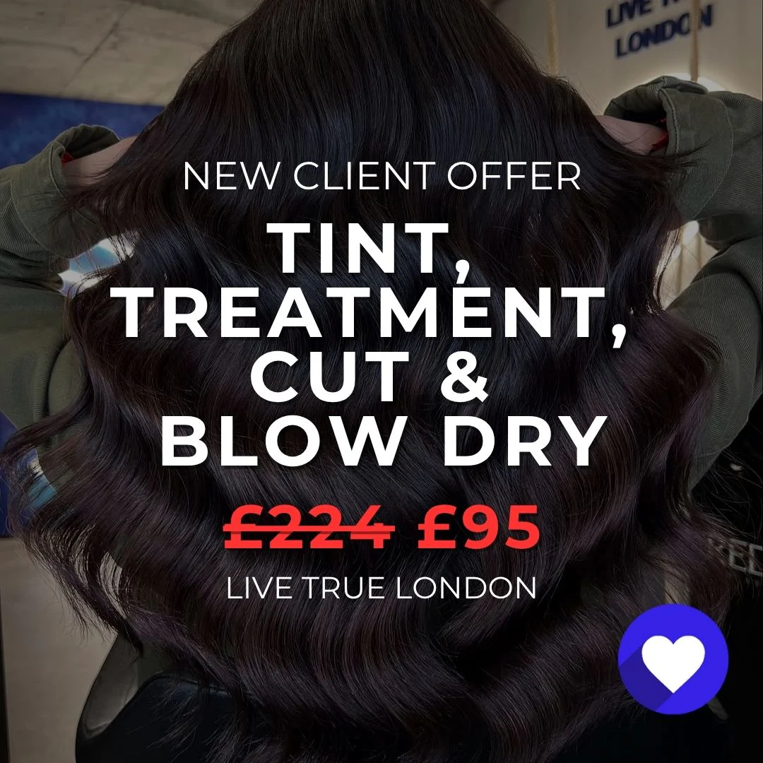 New Clients - Full Head Tint, Treatment, Cut & Blow Dry
